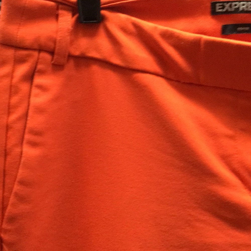 Express editor slacks. - Picture 2 of 5
